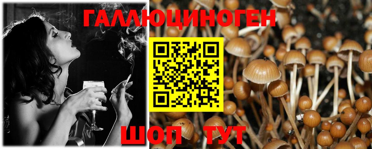Серпухов  где купить наркоту  Вход с VPN  Псилоцибиновые грибы Psilocybe 